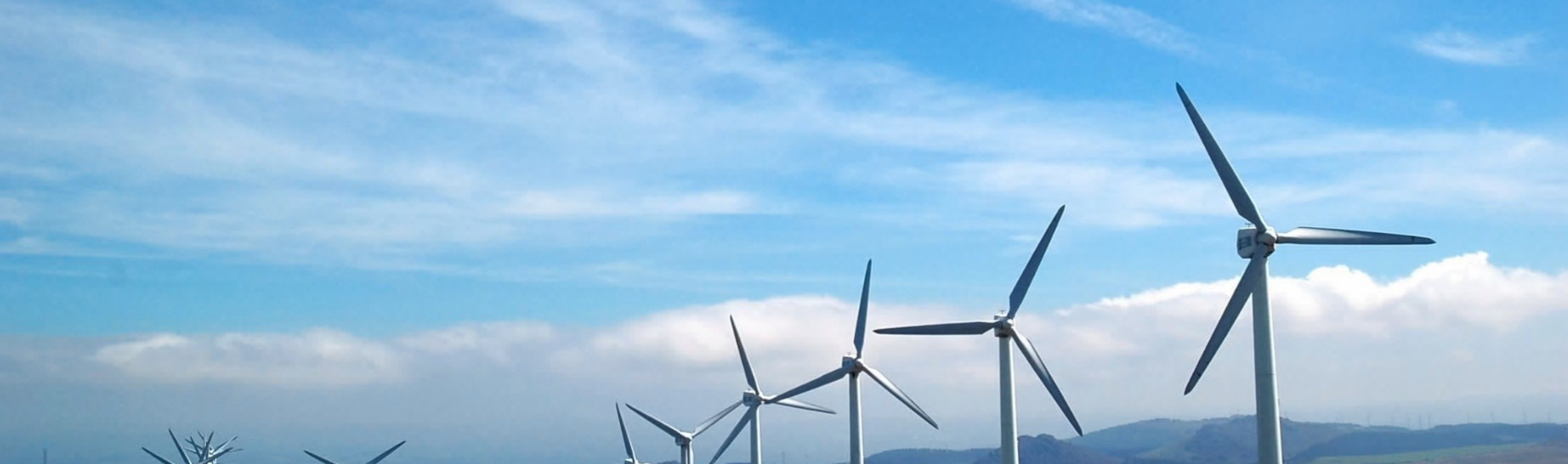 NEW - Big Four Fear is Unfounded Article - May 2025